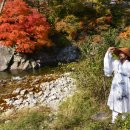 김삿갓휴게소 체험 캠핑장 이미지