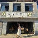 밀크펫살롱 | 속초 카페 추천 칠성조선소 주차 청초호 핫플 데이트 애견 동반 가능