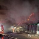 안동마트 이미지