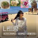 희망목장 | [나트랑 3박4일 여행] 산티아고 판랑투어 내돈내산 후기(양떼목장, 포롱자라이사원, 판랑사막, 로컬식당)