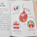 알쏭달쏭 과학실험 | 유성도서관 과학독서 아카데미 / 재미있는 인체 과학! 🩸 혈액 순환 모형 만들기