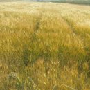 (주)보우 이미지