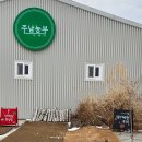 주남농장 | 창원 주남농부더하기 - 창원 동읍 실내 딸기 수확 애착 화분 심기 체험 후기