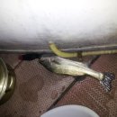 해양펜션 이미지