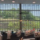 도서관나들이 이미지