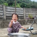 교원 빨간펜 전집 두비의 즐거운 생활 우리 아이 맞춤 생활동화 후기