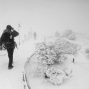 겨울나그네 이미지