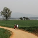 보리농장 이미지