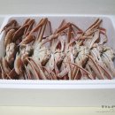 워누파파 이미지