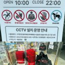 천안신방동물약국 | 다이소 천안신방점 후기｜천안 신방동 대형 다이소 주차·영업시간·캠핑용품 구경