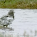 부엉이PC 이미지