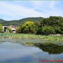 김천마을 이미지