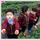 무내미농장 이미지