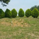 수원-0435 이미지