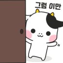 빈랑예찬 이미지