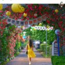 순천-61호 이미지