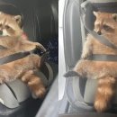 안전목욕탕 이미지