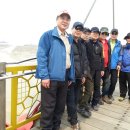 도창초등학교 이미지