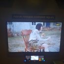 노래야노래야 코인노래연습장 대전오류점 이미지