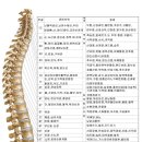 수림한방병원 이미지