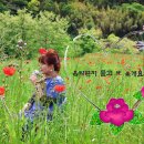 마감해요...리트님과 멋진시간 이어가세요 이미지