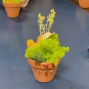 인당경로당 | [시니어 출강] 경기 시니어 업사이클링 가드닝 프로그램 15회차 후기