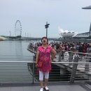 [Mariner of the Seas] 로얄 캐리비안 사 '마리너'호로 떠난 동남아 크루즈여행 후기 및 총평
