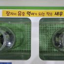 창녕생태곤충원 이미지