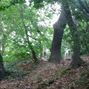 들개농장 이미지