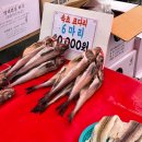 선산읍교회 | 구미 가볼만한곳 선산시장 오일장 장날 나들이
