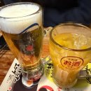 선일프라자1차빌딩 | 도쿄 신바시 술집 추천 토리키조쿠 솔직 후기 야키토리 맛집(메뉴 추천)