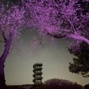 갯골생태공원(캠핑장) 이미지