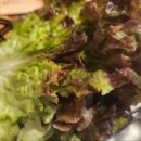 춘천이동갈비 이미지