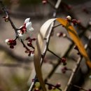 금호동주민센터 이미지