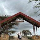 황금내공원앞길 | [하쿠나마타타9]세렝게티 초원 한가운데로