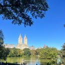 체리파크 | [뉴욕] 센트럴파크 체리힐에서 더 다코타 바라보며 할랄가이즈 먹으면서 멍냥하는 소풍 대만족 후기