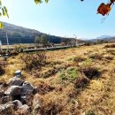 도시농부공인중개사사무소 이미지