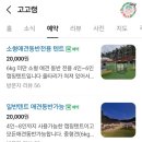 고고캠