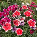 두리슈퍼 - 평택시 | 두리슈퍼