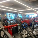 에스투짐 | 대전둔산동헬스장 에스투짐 헬스.P.T 둔산점 만족후기