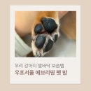우프 | 눈길 산책 후 갈라진 발바닥? 강아지 보습 필수템 우프서울 펫밤 후기