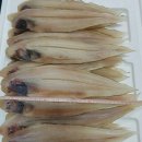 서천박대 이미지