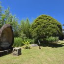 한국궁중꽃박물관 이미지