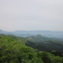 장성 축령산 편백숲 이미지