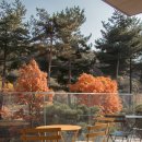 경기도 수원시 영통구 웰빙타운로 | 수원 광교 르디투어 대형 베이커리 카페 후기