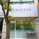 메모리펫살롱 이미지
