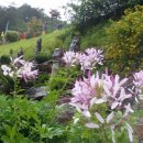 섬진강도깨비마을 이미지