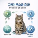 판교 P&P 동물병원 이미지