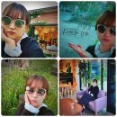 카페그꽃 이미지