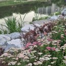 생활조경(주간) 이미지